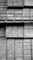 quiet color#327