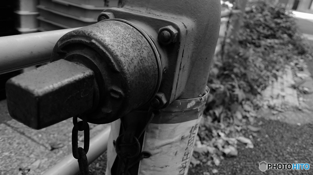 tokyo monochrome#824