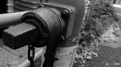 tokyo monochrome#824