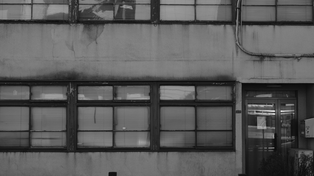 quiet color#743