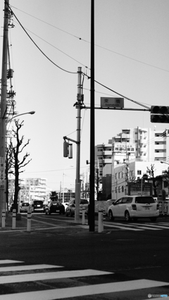 tokyo monochrome#851
