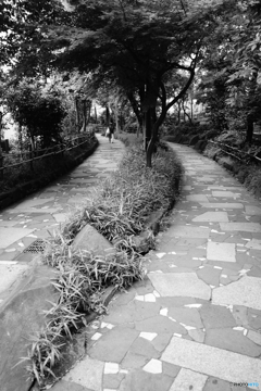 tokyo monochrome# (1291)