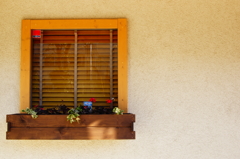 quiet color#432
