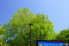 20160430　昭和記念公園