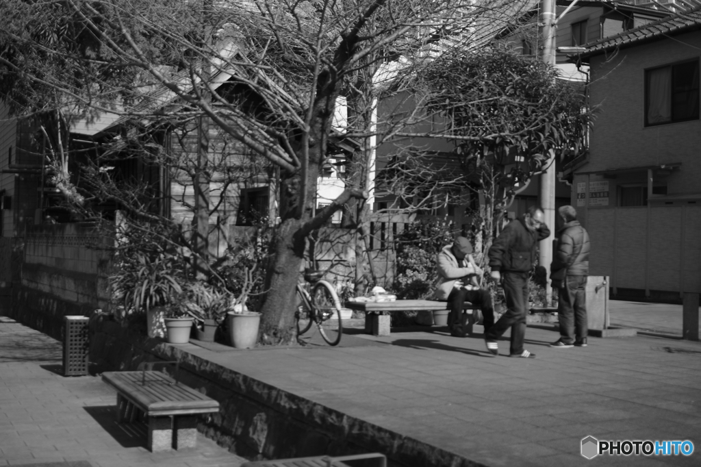 tokyo monochrome# (1195)