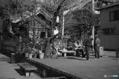 tokyo monochrome# (1195)