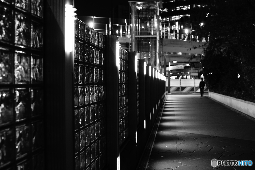 Tokyo monochrome# (1244)