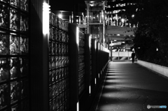 Tokyo monochrome# (1244)