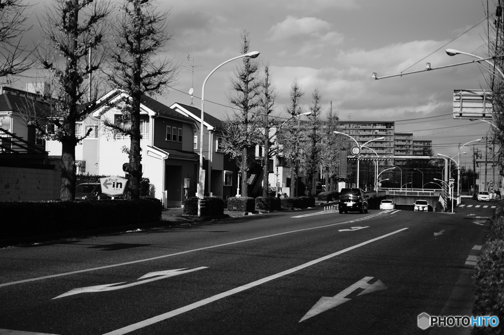 Tokyo monochrome# (1279)