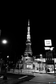 tokyo monochrome#782