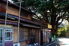 谷中のシンボル