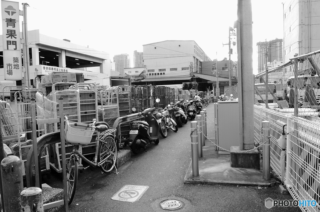 tokyo monochrome# (1091)