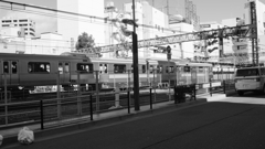 tokyo monochrome#710