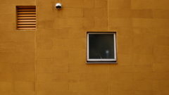 quiet color#336