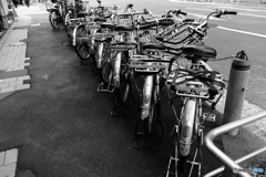 tokyo monochrome# (1393)