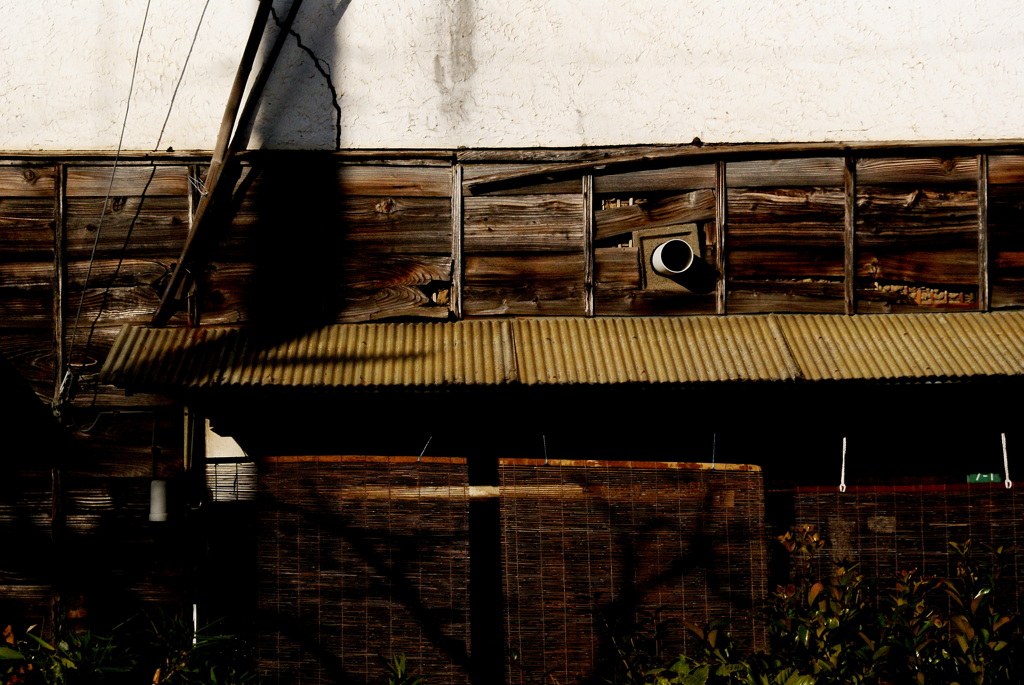 quiet color#106