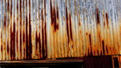 quiet color#295