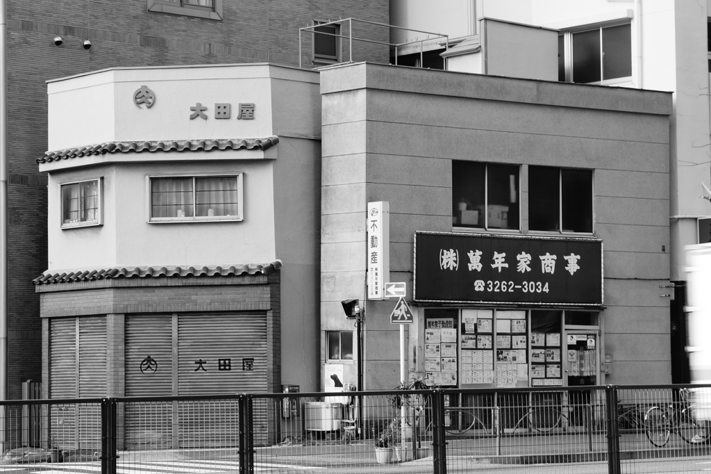 tokyo monochrome#593