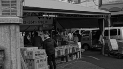tokyo monochrome#239