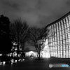 tokyo monochrome# (1124)