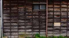 quiet color#204
