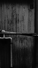 quiet color#241