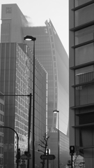 tokyo monochrome#531 tokyo monochrome#531