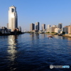 隅田の流れ