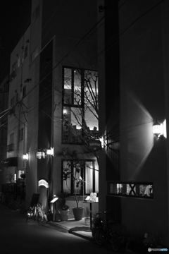 tokyo monochrome#987