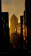 東京の夜明け