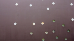 quiet color#335