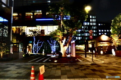 street coner illusion (136)