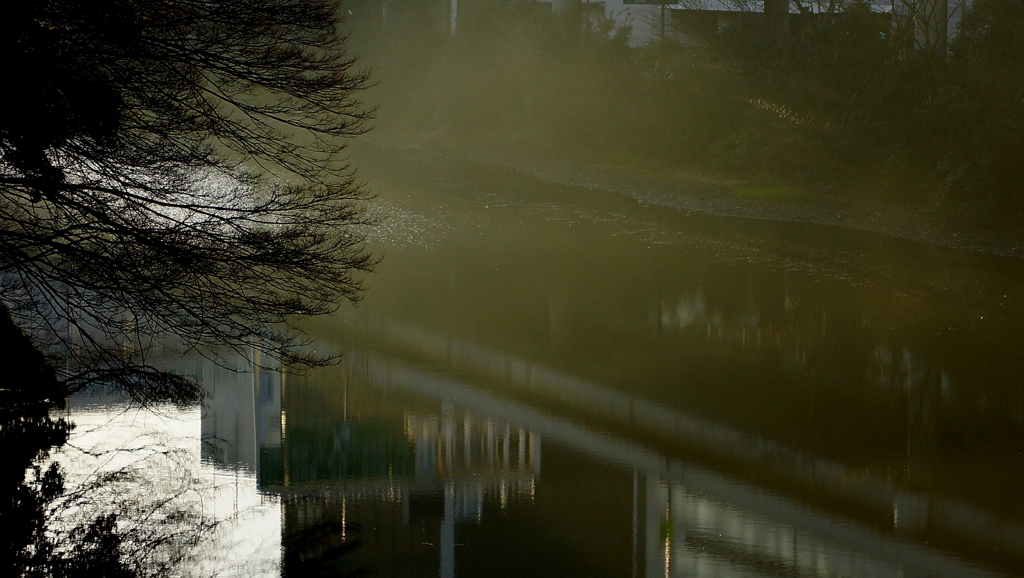霧の朝