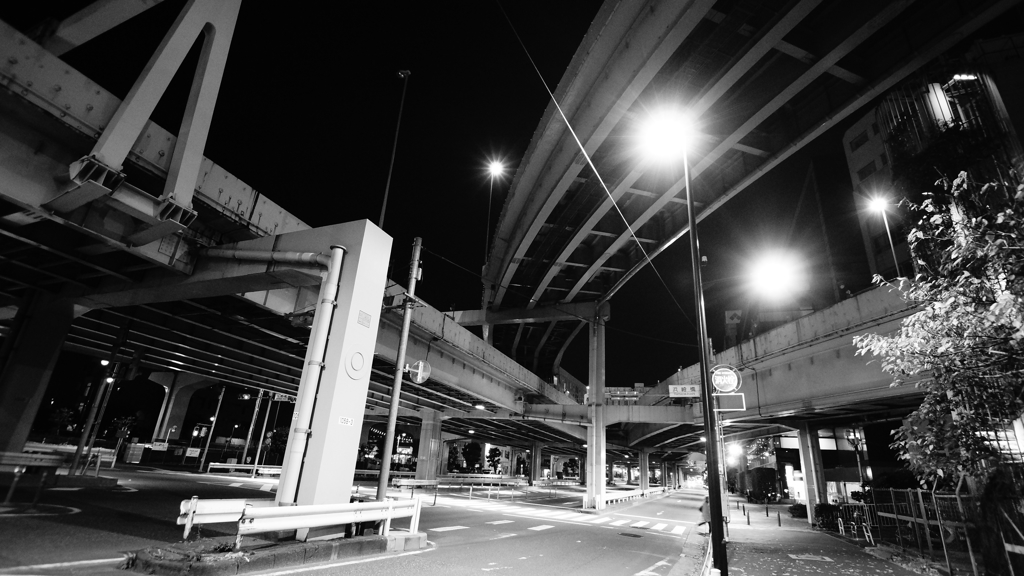 tokyo monochrome#443