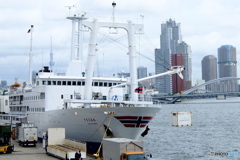 ナニしてんの？