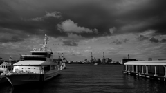 tokyo monochrome#395