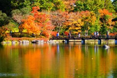 昭和記念公園 日本庭園