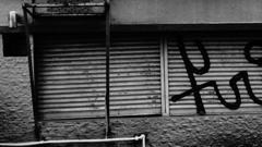 quiet color#314