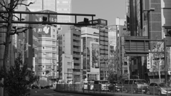 tokyo monochrome#733