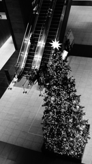 tokyo monochrome#439