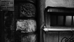 quiet color#198