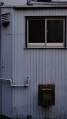 quiet color#275