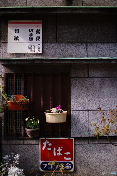 quiet color#999