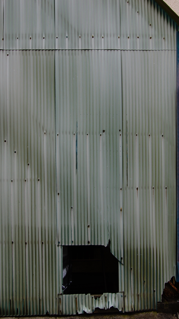 quiet color#267