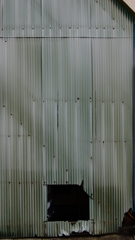 quiet color#267