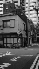tokyo monochrome#211