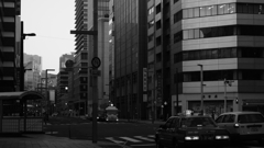 tokyo monochrome#604