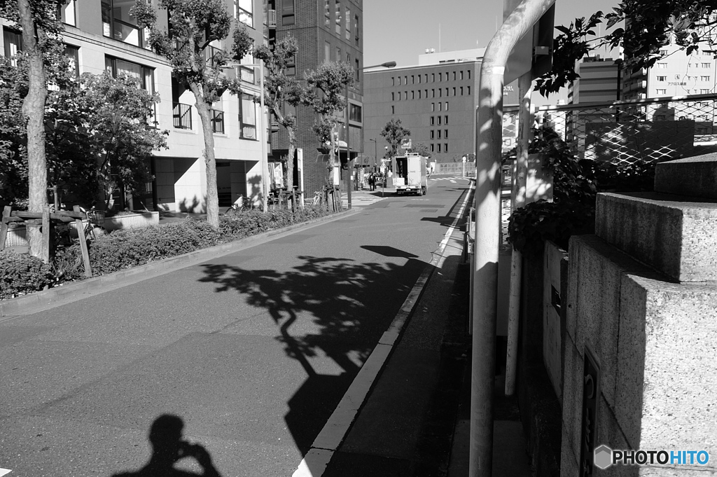 tokyo monochrome# (1378)
