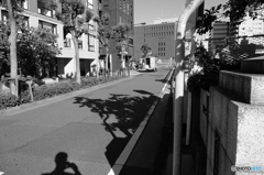 tokyo monochrome# (1378)
