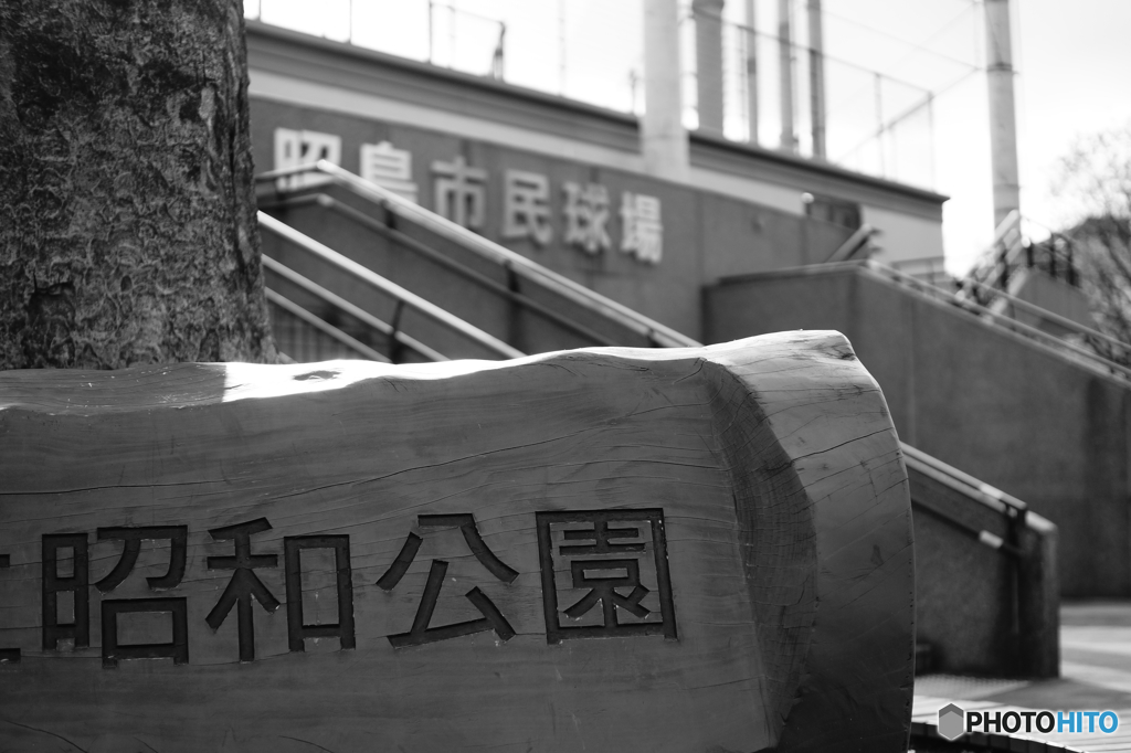 Tokyo monochrome# (1262)